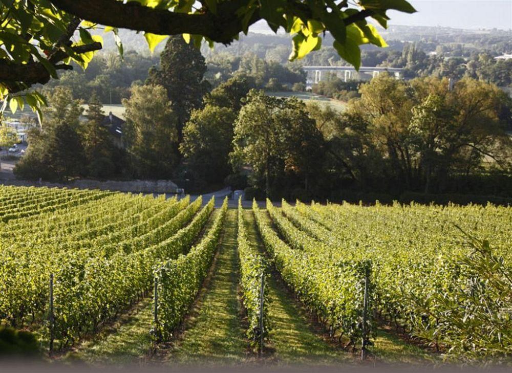 Domaine De Chateauvieux Peney Dessus Exterior photo