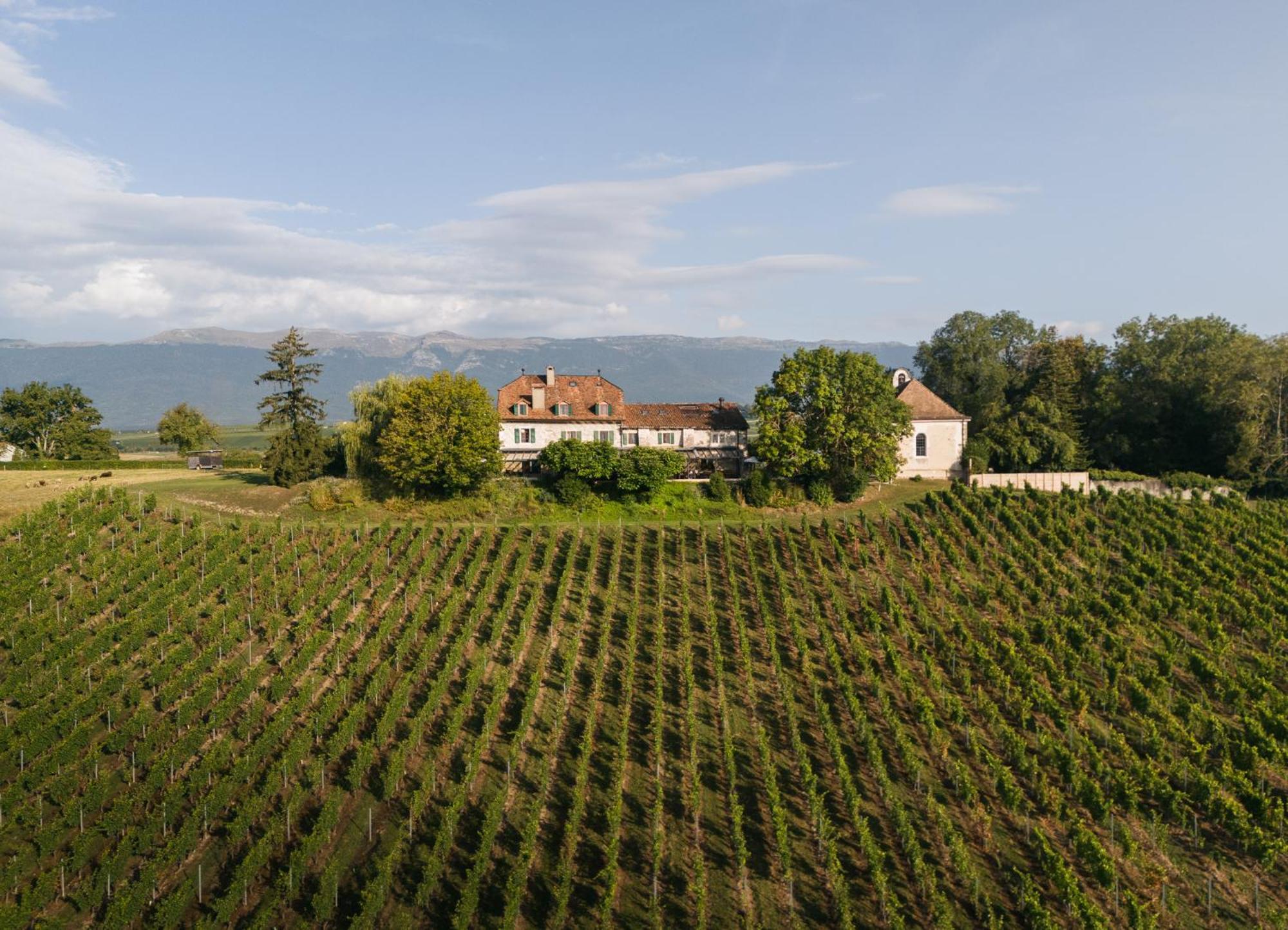 Domaine De Chateauvieux Peney Dessus Exterior photo